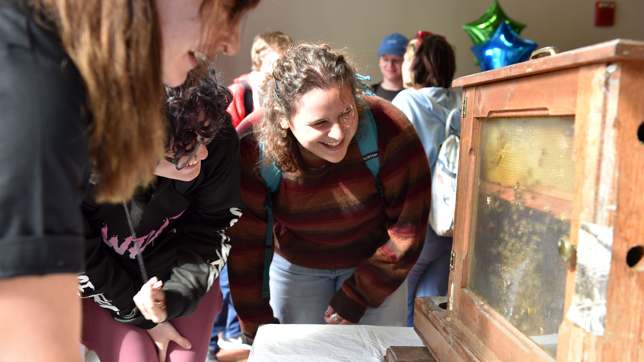 a group of students looking at a honeycomb