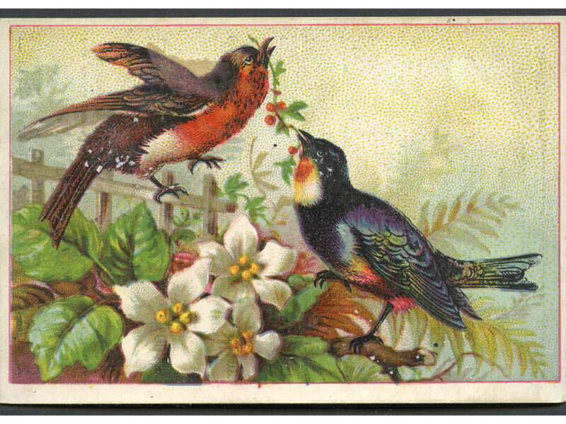 Color advertising card depicting two birds holding sprigs of berries and perched on stylized lattice and foliage.