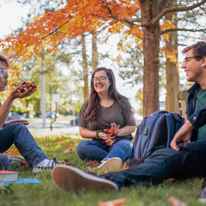 group of students site on the lawn during fall play with leaves