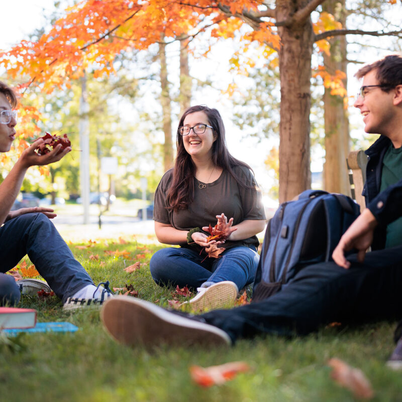 three students sitting on the grass after class, playing with the autumn leaves