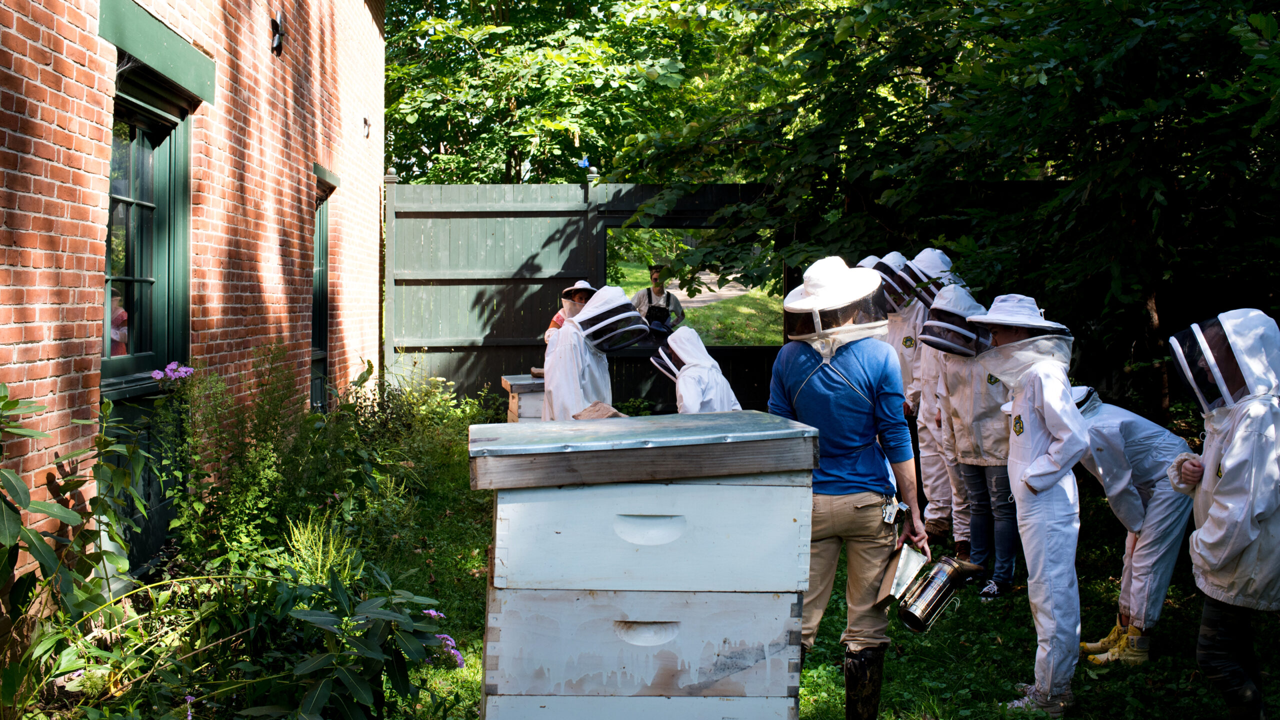 People in bee suits in the Champlain apiary