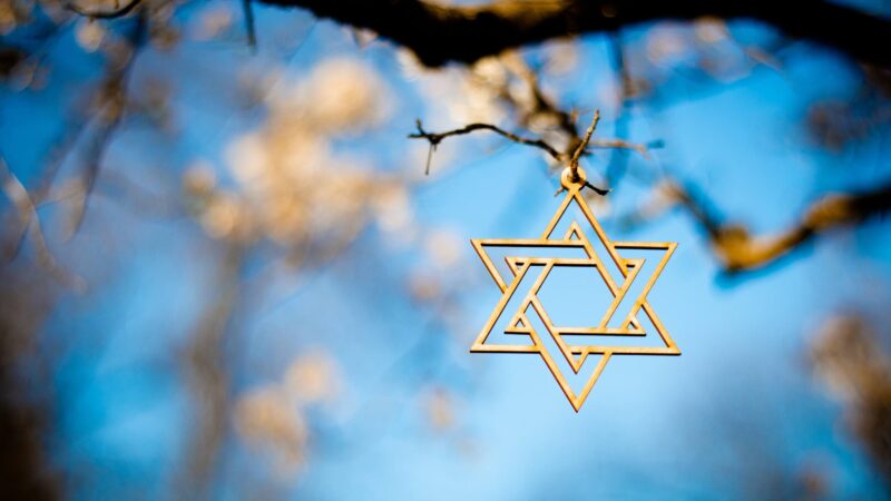The Star of David hanging in a tree against a brightly lit blue sky