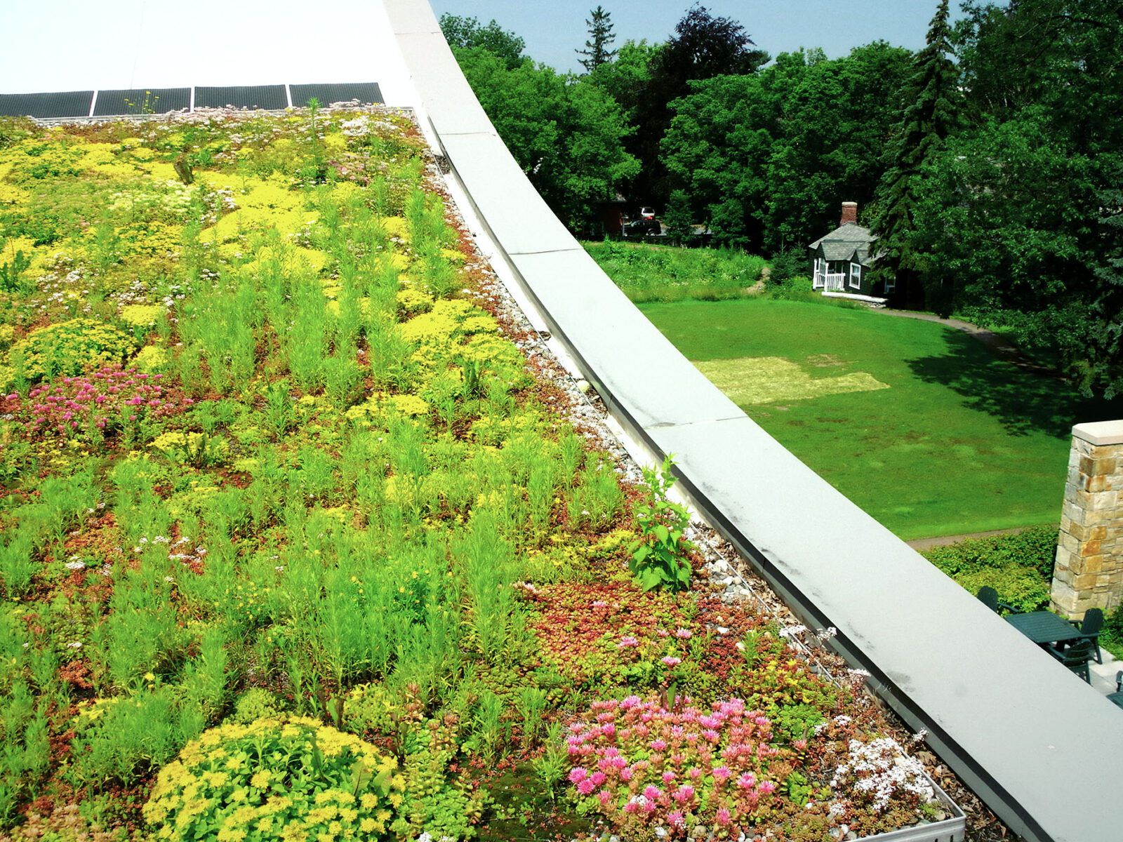 green roof on top of perry hall full of colorful plants