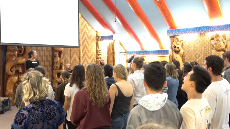 many people gather in a maori gathering place to learn about maori culture