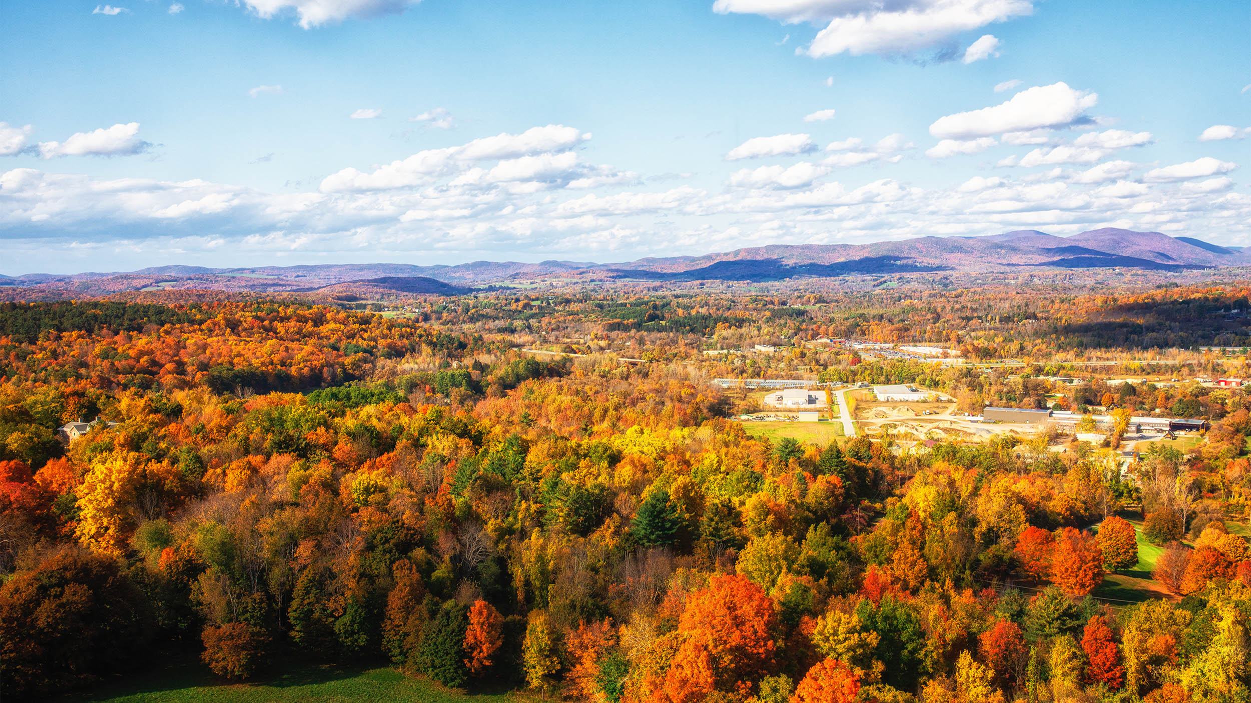 fall leaves on trees in a landscape photo of Vermont