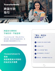 thumbnail image of Chinese instruction flier