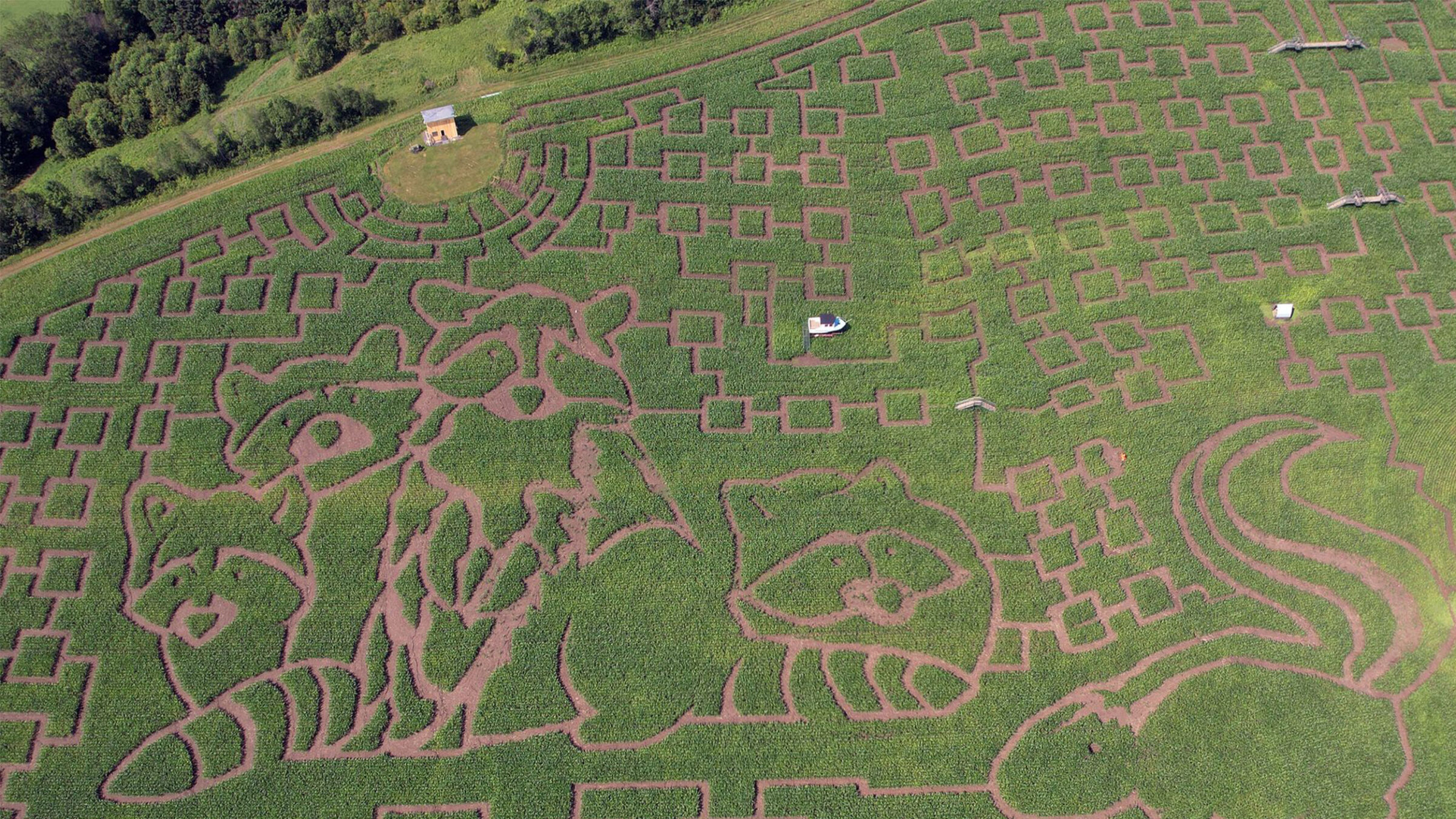 corn maze aerial view