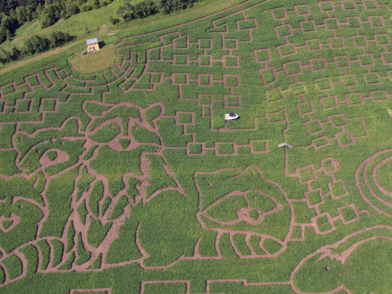 corn maze aerial view