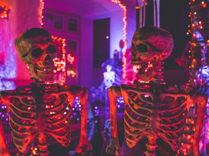 halloween decorations and skeletons surrounded by purple and red lights