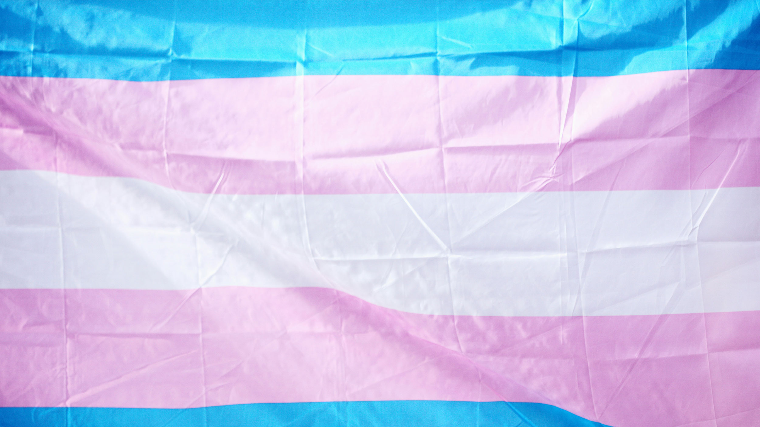 transgender flag