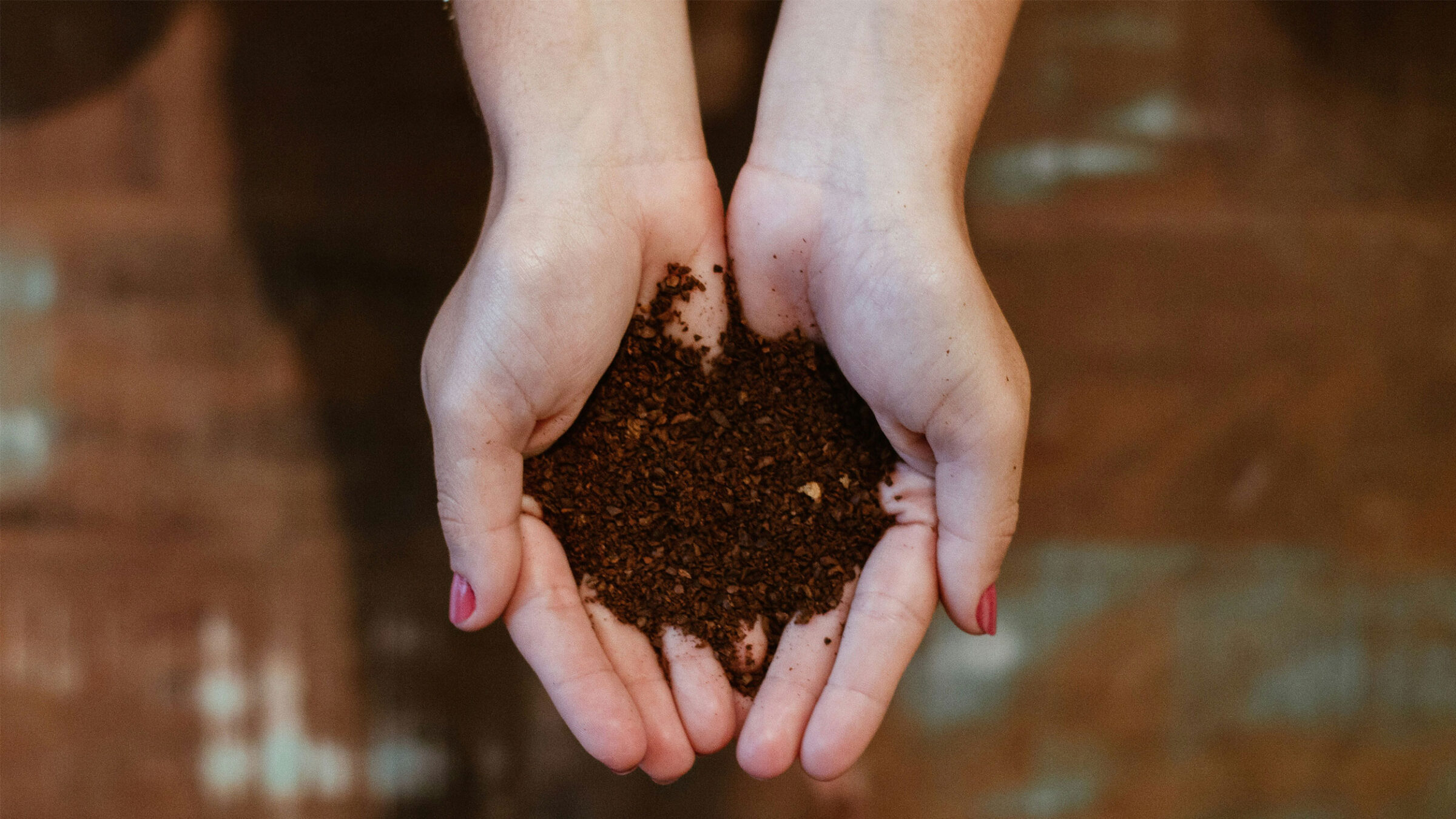 two hands holding soil