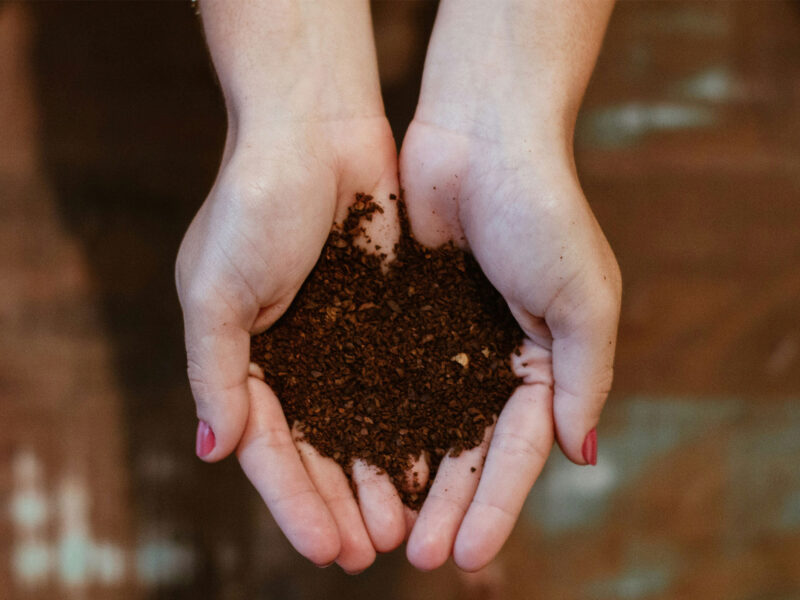 two hands holding soil