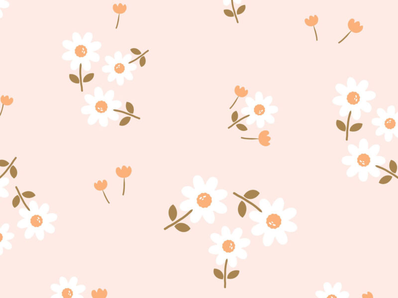 white flowers on pink background